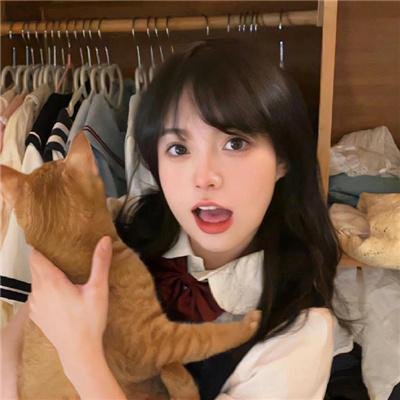 《系》